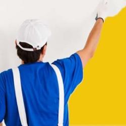 rapid-home-painters